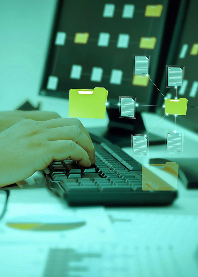 Digitale Dokumenten- und Systemstruktur auf Computerbildschirm – Darstellung der SAP S/4HANA Implementierung im Greenfield-Ansatz und der Neugestaltung von IT-Systemlandschaften.