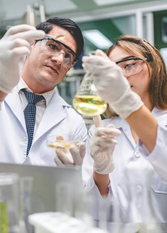 Digitale Workflow- und Projektplanung als Beispiel für Softwarevalidierung und GxP-Compliance.