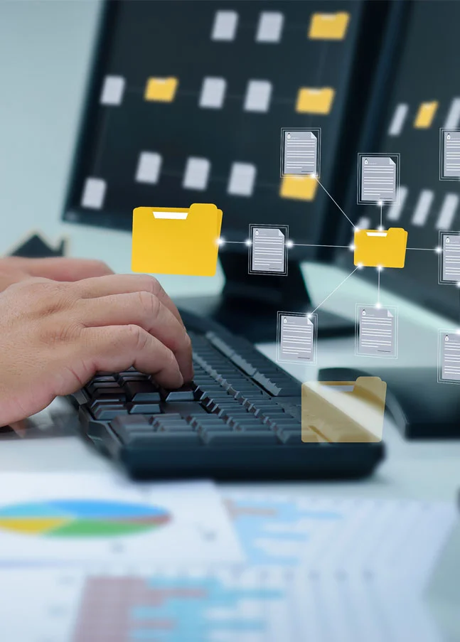 Digitale Dokumenten- und Systemstruktur auf Computerbildschirm – Darstellung der SAP S/4HANA Implementierung im Greenfield-Ansatz und der Neugestaltung von IT-Systemlandschaften.
